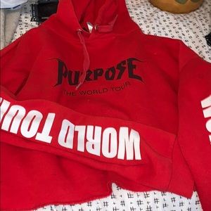 purpose tour hoodie